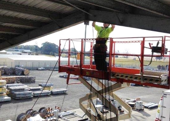 bird netting commercial installation control pest cost