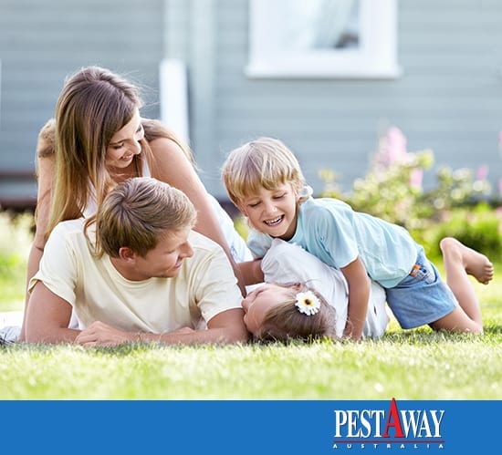 PestAway-Home-Pest-Control PestAway-Home-Pest-Control