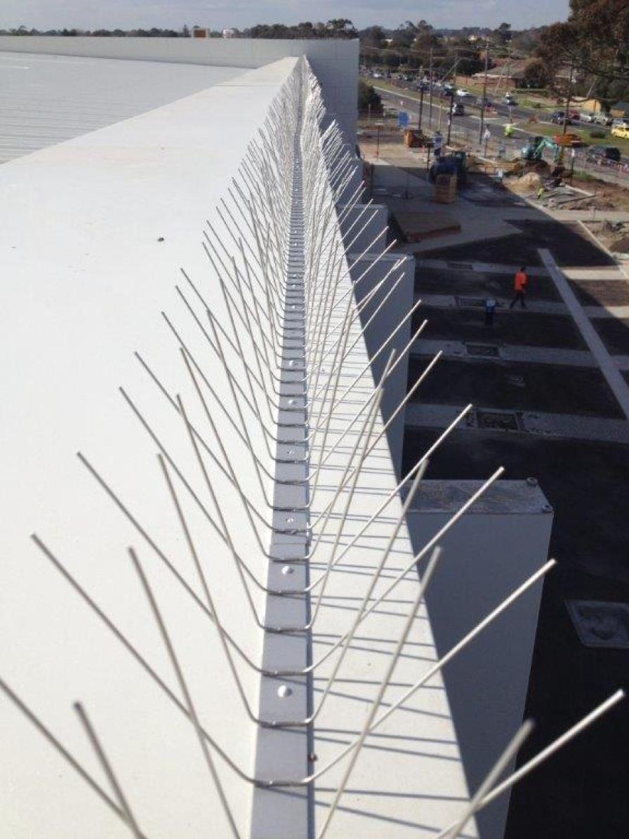 PestAway Australia BirdControlSpikes PestAway Australia