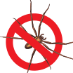 bugs bugs