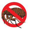 bugs bugs