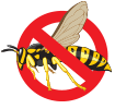 bugs bugs