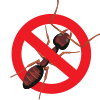 bugs bugs