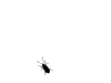 graphics-flies-763422 graphics-flies-763422