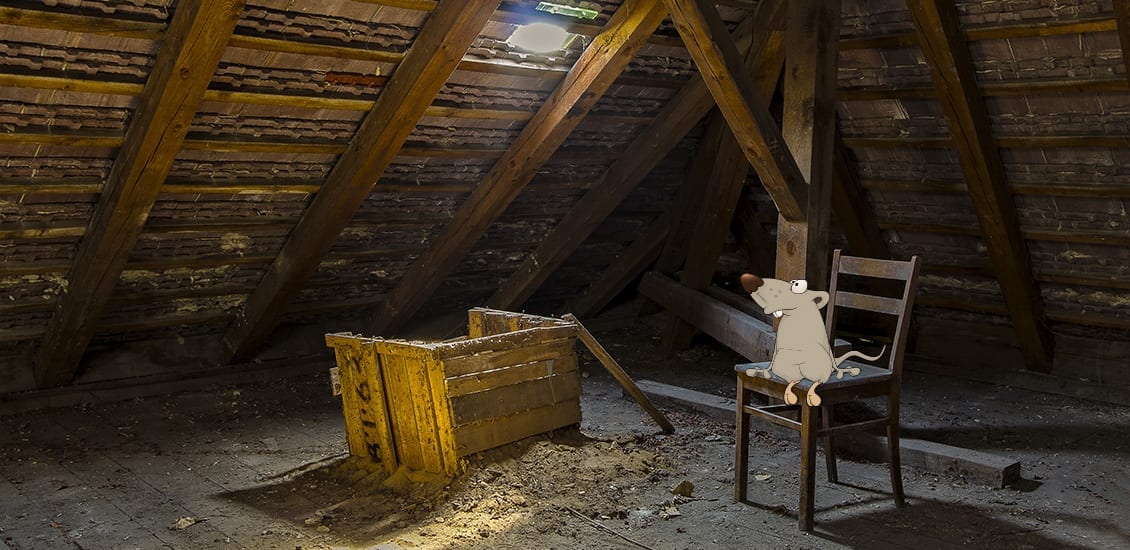 rat-on-chair rat-on-chair